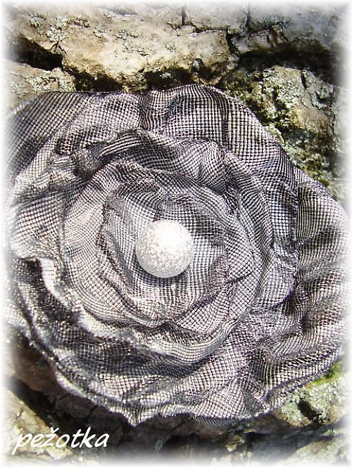 Šedivka — foto 2