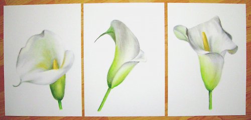 Trojka — foto 4