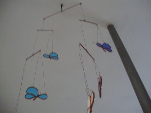 Motýlí Mihotání — foto 3
