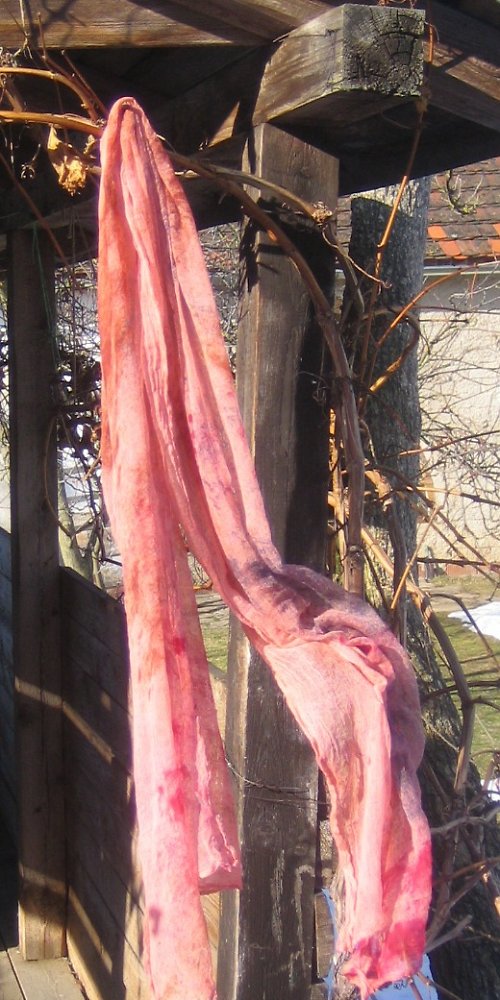 RŮŽOVÁ — foto 3