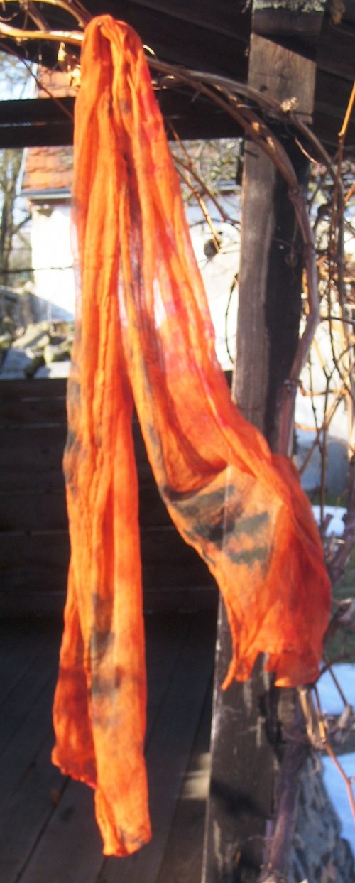 Oranžová Pomerančová — foto 2