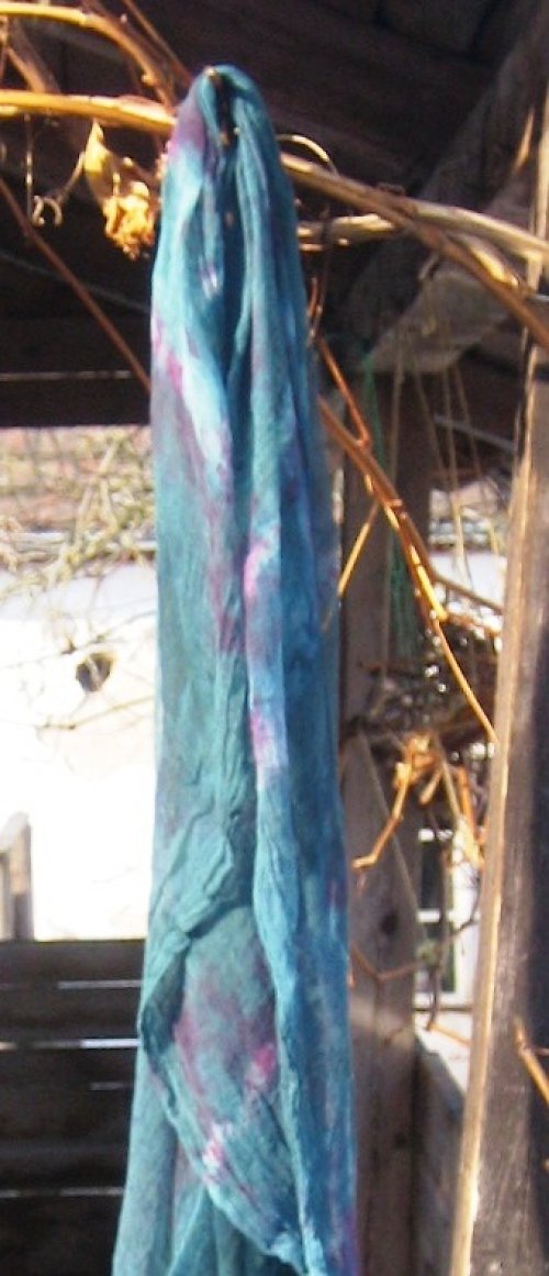 Modrozelená — foto 2