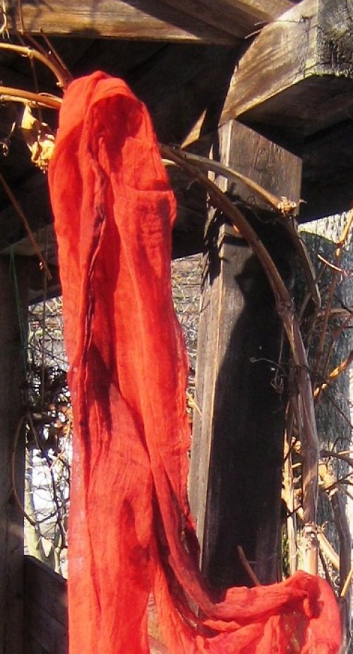 Červený Pomeranć — foto 3