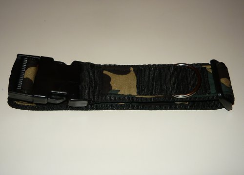 Khaki obojek — foto 3