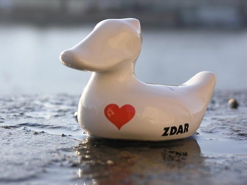 Love Zdar — foto 4