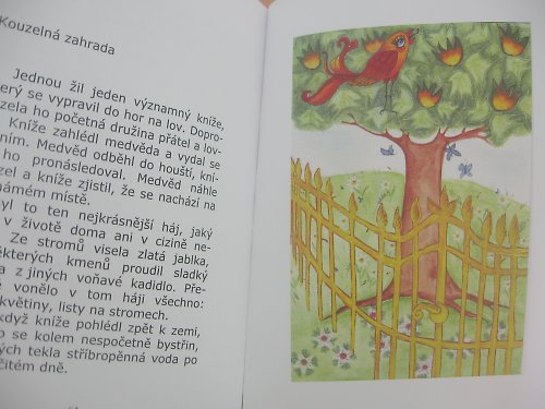 Kouzelná zahrada — foto 5