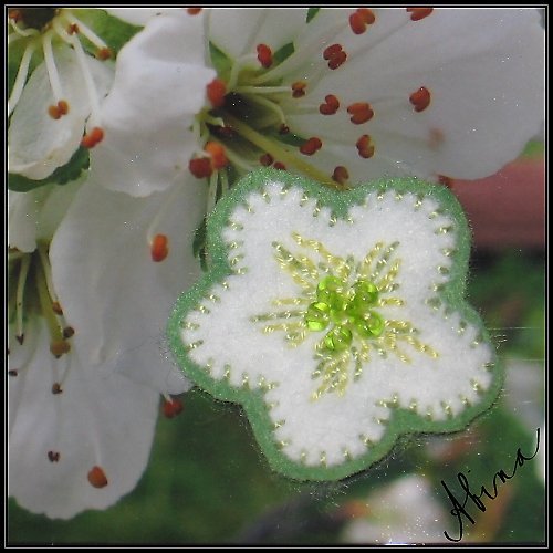 Třešňový — foto 2