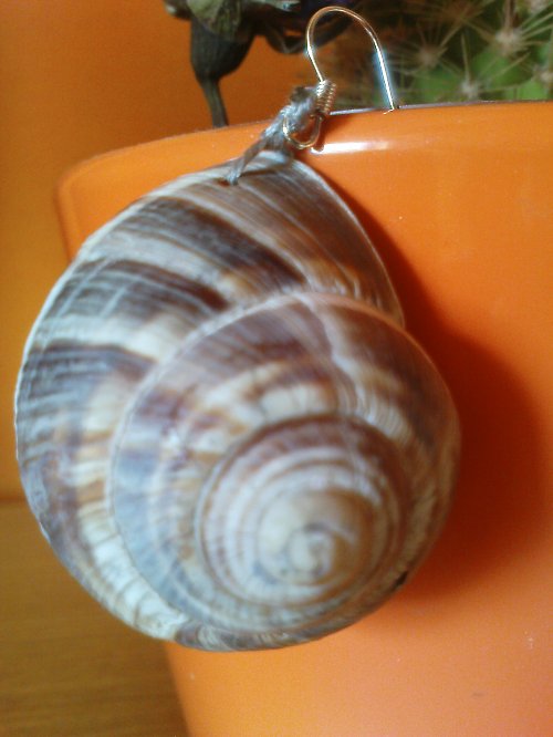 Snails from France — foto 2