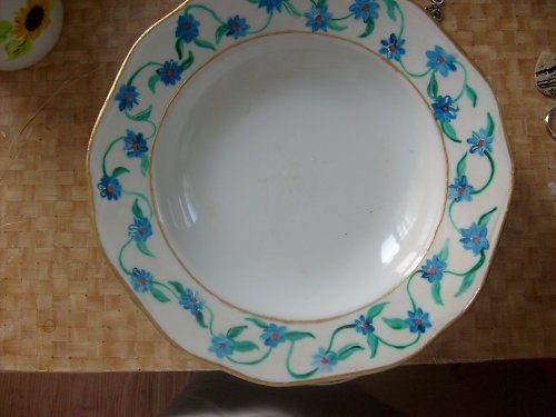 Rozkvetlý talíř — foto 2