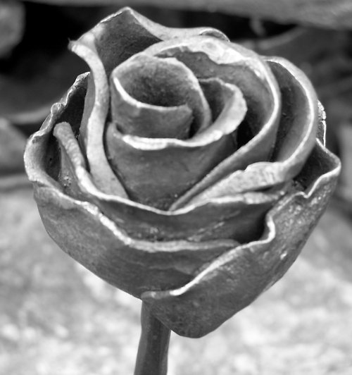 Je libo kovanou růži?romanticky palcát:)))))))) — foto 2