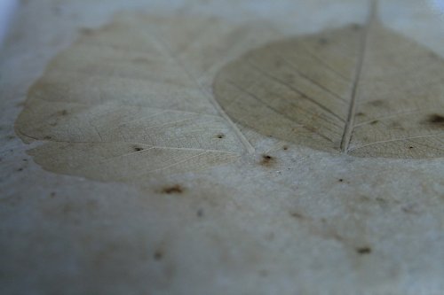 Obal na zápisník "Natura" — foto 2