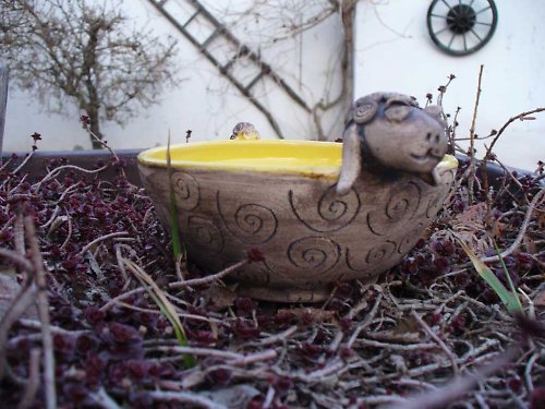 Ovečka — foto 2