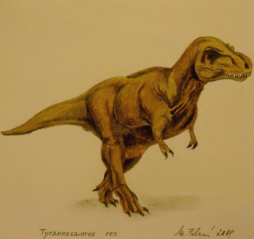 Tyranosaurus - váš zubatý kamarád — foto 2