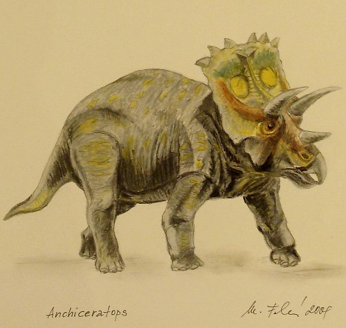 Anchiceratops - náramný parádník — foto 2