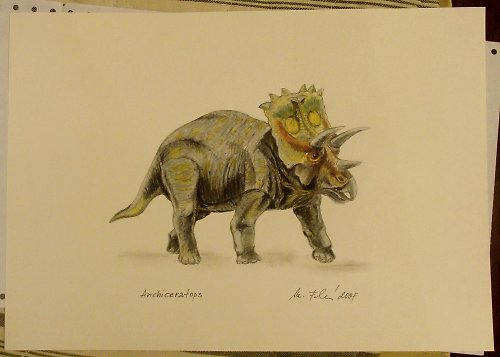 Anchiceratops - náramný parádník — foto 3