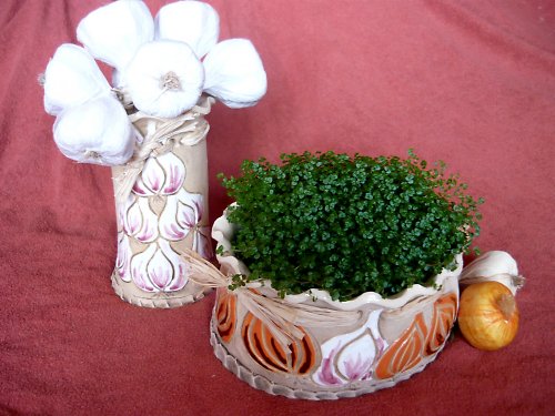 Kachlíky česnek — foto 2