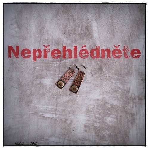 Nepřehlédnutelné náušnice.......... — foto 4
