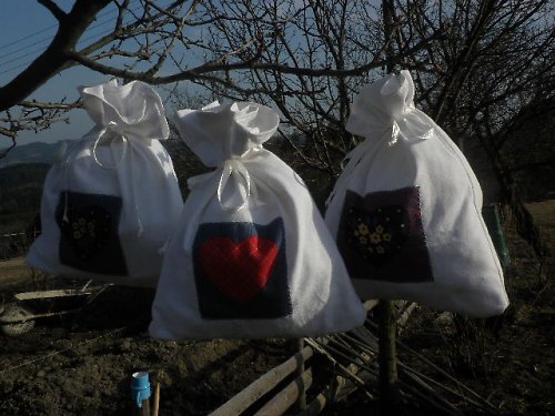 Pytlíky srdečné — foto 2