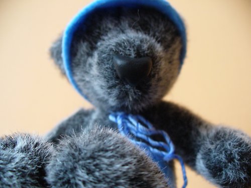 Medvídek Monty — foto 4