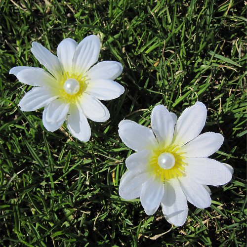 Marguerite — foto 2