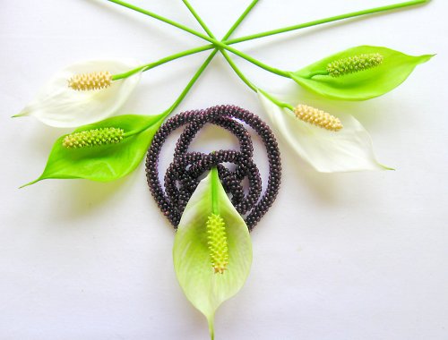 Orbitus... — foto 2