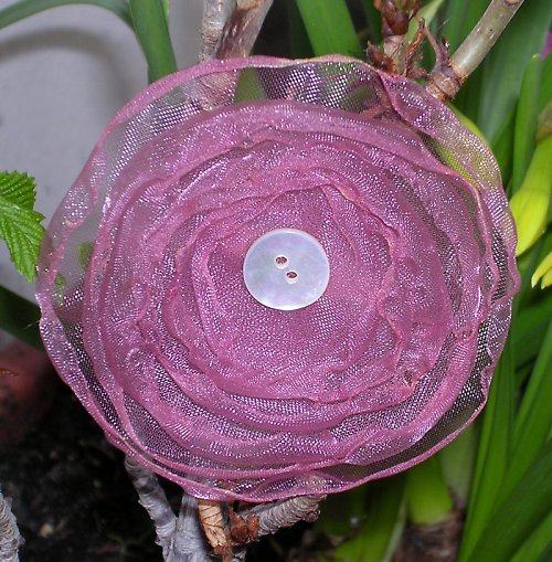 Nacreous Rose — foto 3