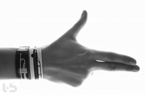 L BANDS diversita — foto 3