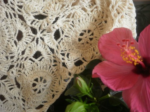 NATUR — foto 2