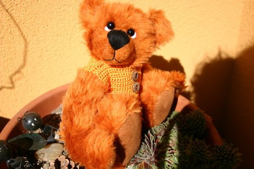 Medvídek Zrzounek — foto 3