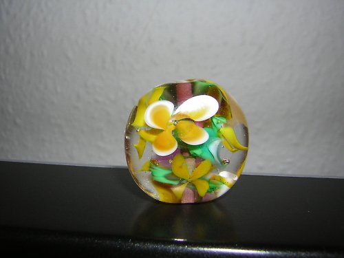 Jarní louka — foto 2