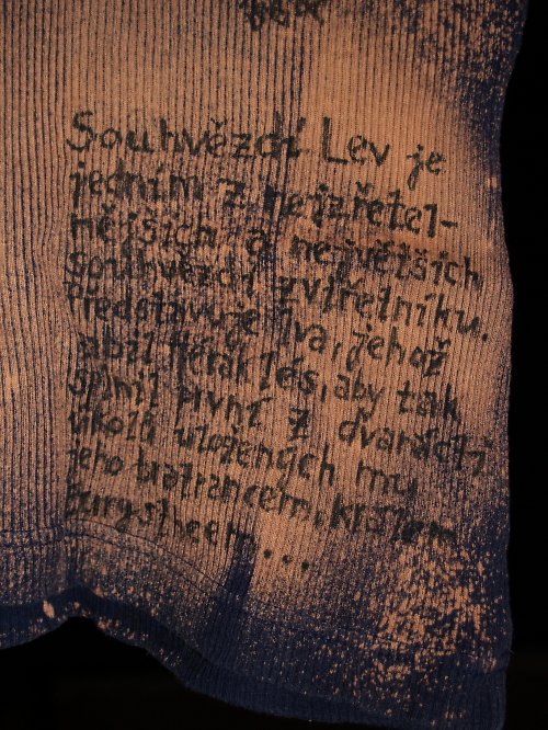 Souhvězdí - Lev — foto 5