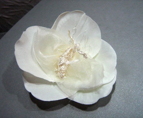 Čajová ruža — foto 2