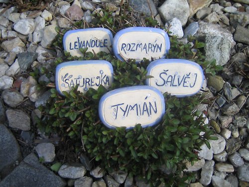 Bylinkovky — foto 3