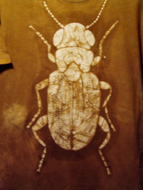 Střevlíček — foto 2