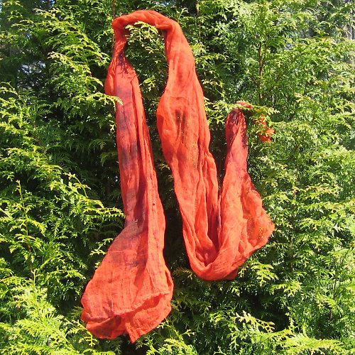 Červený Pomeranč I — foto 2