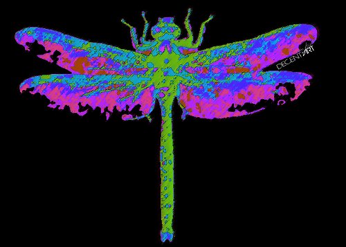 Dámské tričko ,,Dragonfly´´ — foto 2