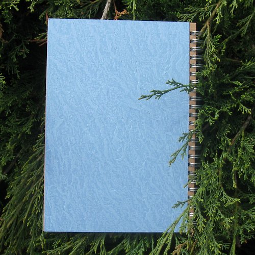 Labutí jezero — foto 2