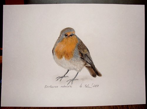 Náš Malý Robin — foto 2