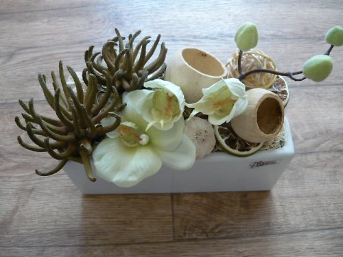 Orchidej v žardince — foto 2