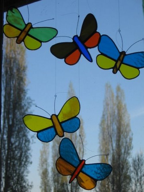 Motýl malý dvoubarevný....... — foto 2