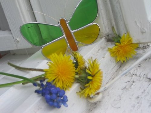 Motýl malý dvoubarevný....... — foto 6