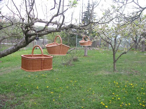 Košík — foto 6