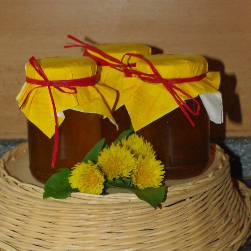Pampeliškový sirup — foto 2