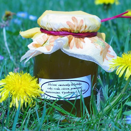 Pampeliškový sirup — foto 3