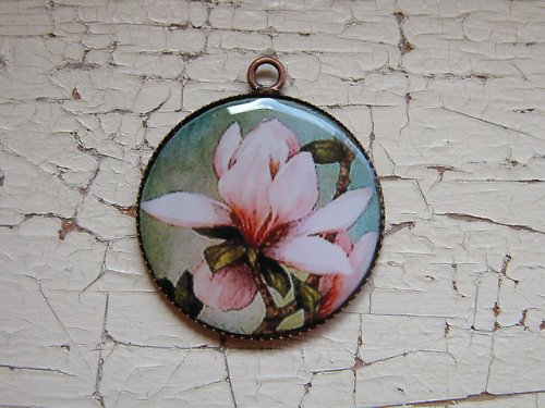 Magnolie2 — foto 2