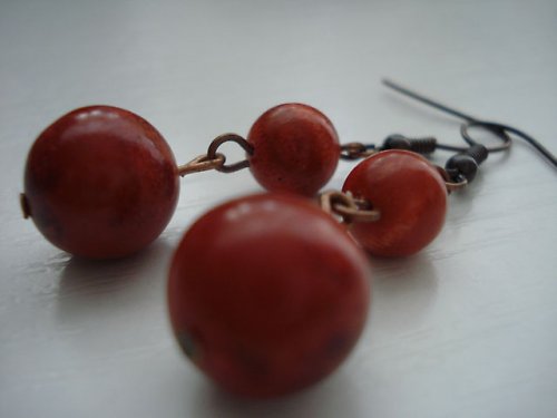Korálové opojení — foto 2