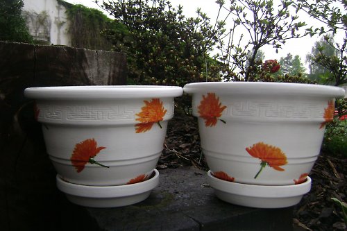 Astry — foto 3