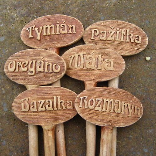 Bylinky do zahrádky — foto 3