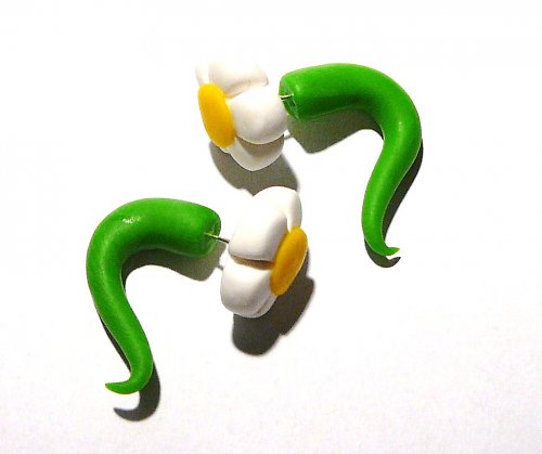 Kopretinky — foto 3