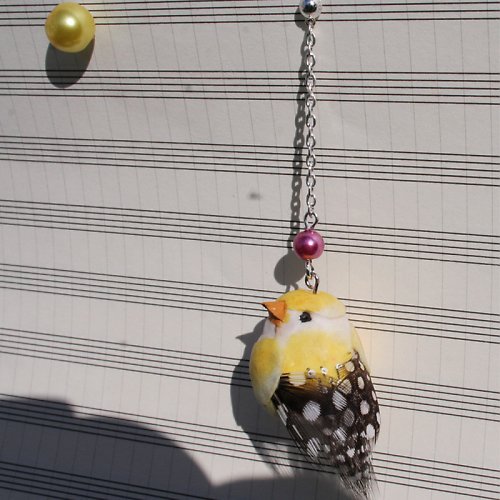 Oiseau et coco - ptáček tlusťoch — foto 3